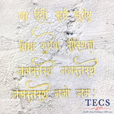 Vidhya Rupen Sansthita Shlok