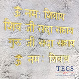 Om Namah Shivay Shlok