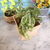 Slanted Square Table Pedestal Planter Small