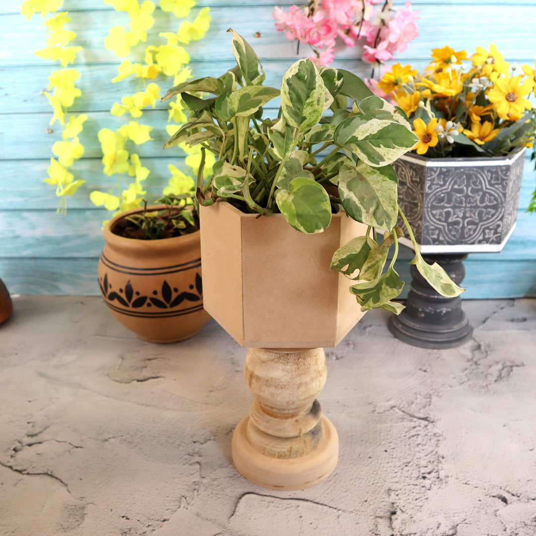Hexagonal Table Pedestal Planter Small