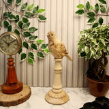 Wooden Bird Family Set