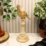 Wooden Bird Family Set