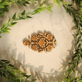 Rajwadi Mini Cutout Motif Pre Mark Set-A