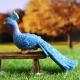 Miniature Peacock