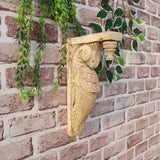 Wooden Parrot Corbel Bracket A