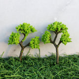 Miniature Tree F