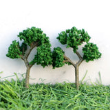 Miniature Tree C