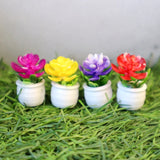 Miniature Flower Pot Vase with Flowers A