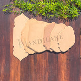 Planks  Bundle 3