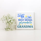 Only The Best Moms Stencil Get Promoted To Grandma Stencil